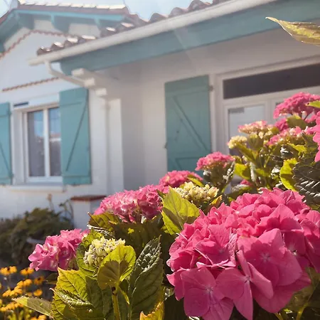 Holiday home La Vintage *